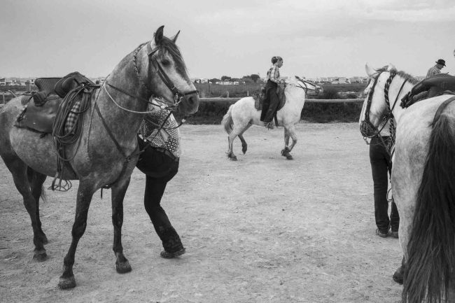 11Camargue ©AntoineDogan