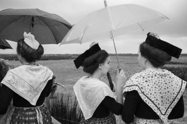 13Camargue ©AntoineDogan