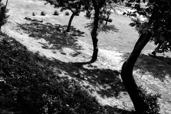 17-TerresFertiles-©AntoineDogan