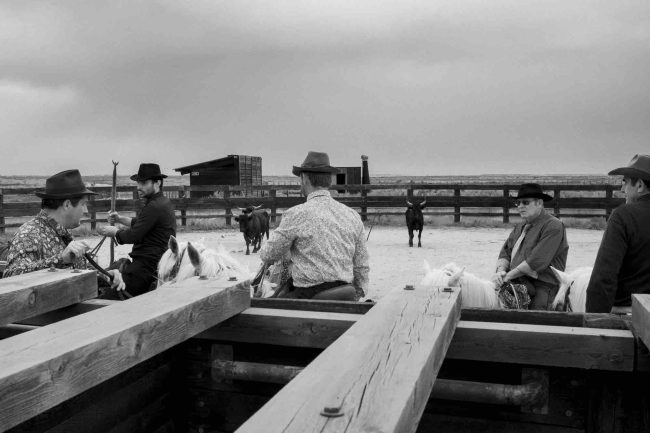 17Camargue ©AntoineDogan