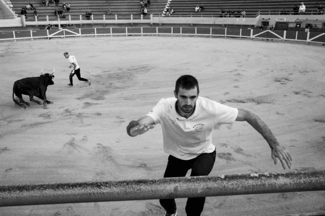 18Camargue ©AntoineDogan