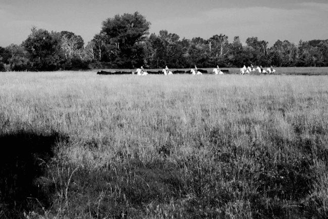 1Camargue ©AntoineDogan