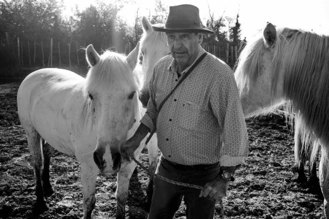 2Camargue ©AntoineDogan