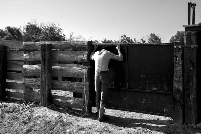 3Camargue ©AntoineDogan