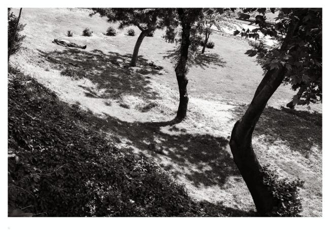 40-TerresFertiles-book-©AntoineDogan