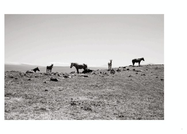 51-TerresFertiles-book-©AntoineDogan