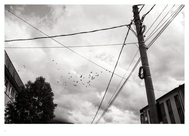 58-TerresFertiles-book-©AntoineDogan