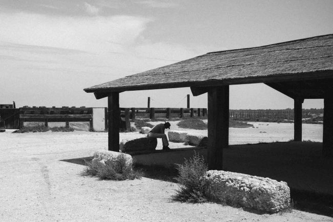 7Camargue ©AntoineDogan