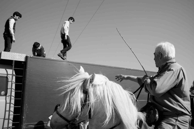 9Camargue ©AntoineDogan